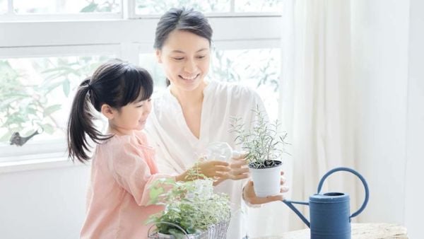 Điều hoà Daikin F25ZTES-W Điều hoà Daikin F25ZTES-W