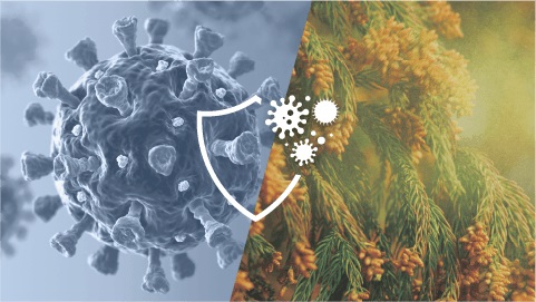 Máy lọc không khí Daikin ACK70Z-W Máy lọc không khí Daikin ACK70Z-W