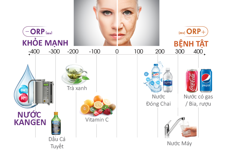 Máy lọc nước Kangen Leveluk SD501 Platinum Máy lọc nước Kangen Leveluk SD501 Platinum