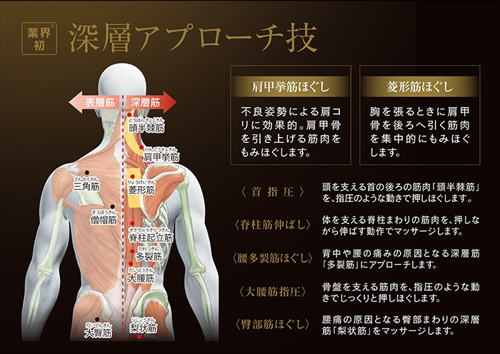 Ghế Massage Fujiiryoki Cyber Relax AS-1000